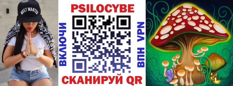 Купить закладки  Судак  Галлюциногенные грибы мицелий 